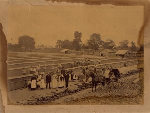 The Lonyo Brothers Brick Yard in 1889 showing many members of the Lonyo family and some of the hired hands. The bricks can be seen stacked around the workers. Printed on back: "In buggy: John Foster (grandfather of Ceramist), Eduth Lonyo died Sept. 11, 1896. Standing right front: Albert Lonyo, next Mary Ternes Lonyo, child Martha. Julia Lonyo (Mrs. Charles H. Bryan). Robert Shanks—foreman. Lizzie—the hired girl. The rest are workmen and members of their families. Lonyo Bros. Brick yard, 1889. Located on Lonyo and Michigan. The business was started by Louis Lonyo, born in Detroit Aug. 9, 1815. The Lonyo Bros., were Albert Lonyo, Aug. 9, 1856, and Louis Lonyo born Nov. 27, 1859. Louis Lonyo, Sr., was the first brick manufacturer in Michigan.